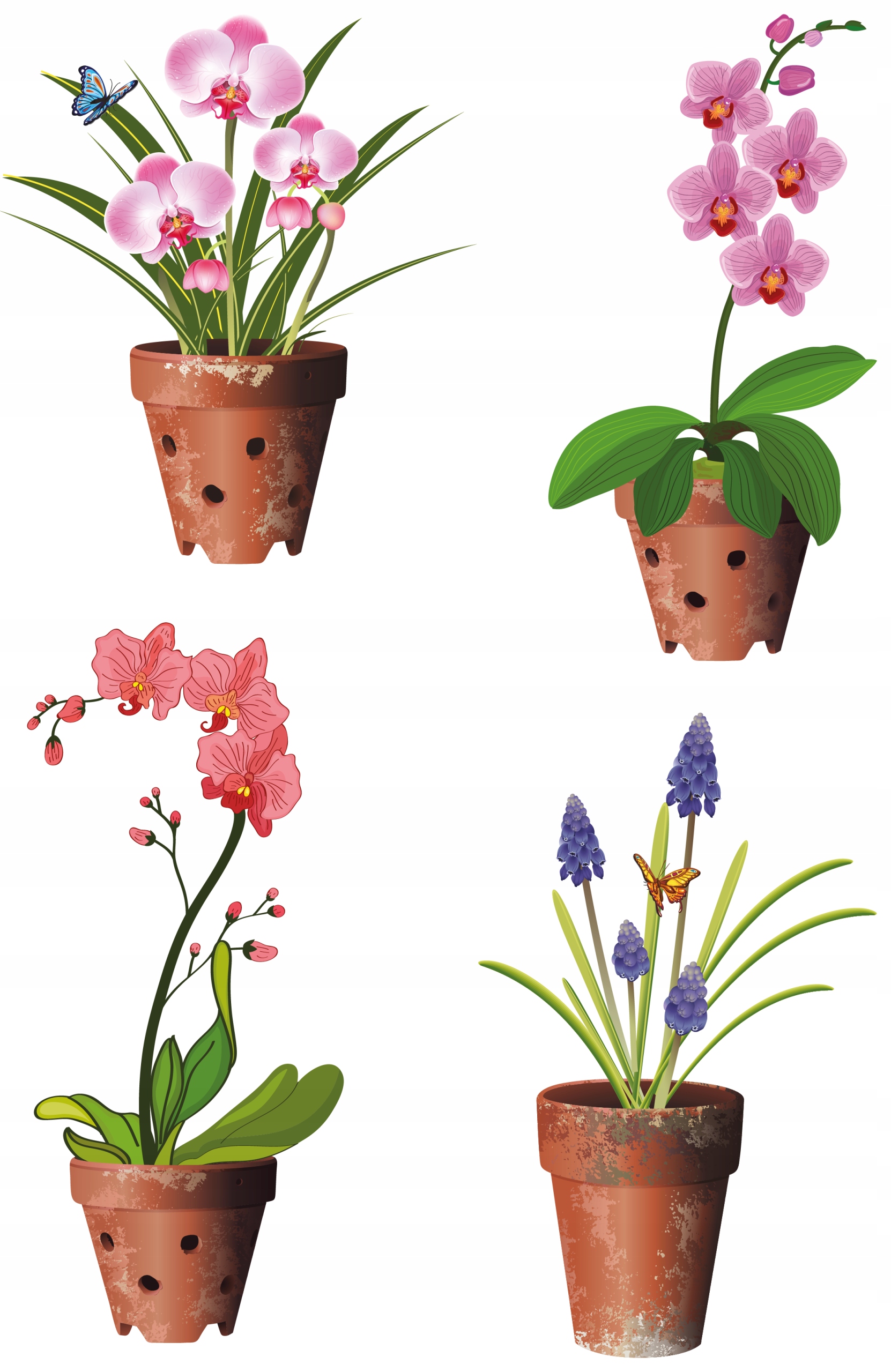 NAKLEJKI NA OKNO LUSTRO SZYBĘ STORCZYKI KWIATY