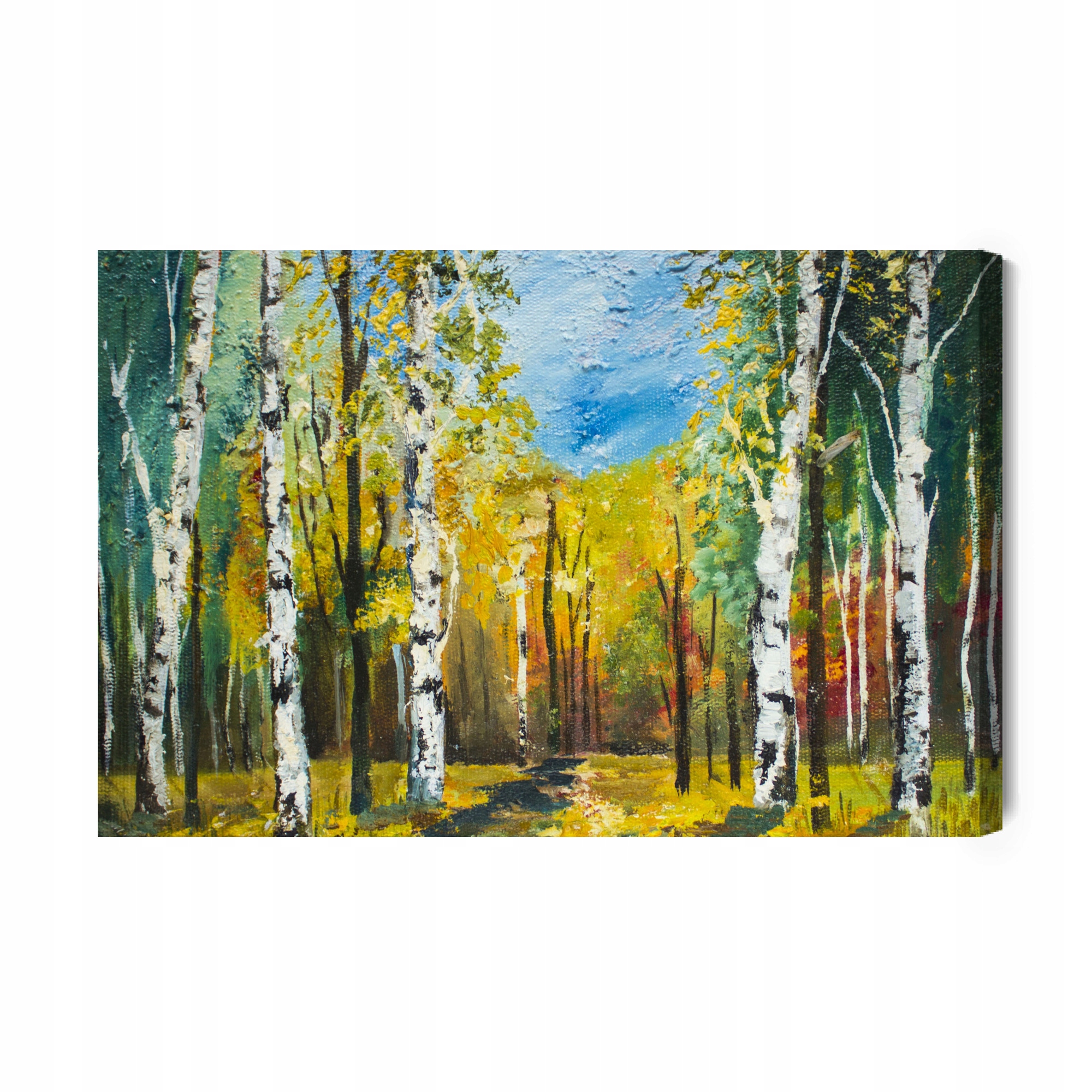 Obraz Na Plátně Břízový les jako malované plátno 70x50