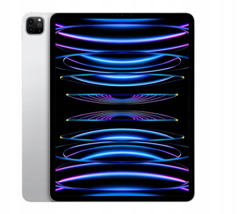 iPad pro 第5世代 12.9インチ 256GB ApplePencil付 Apple New iPad Pro 12,9