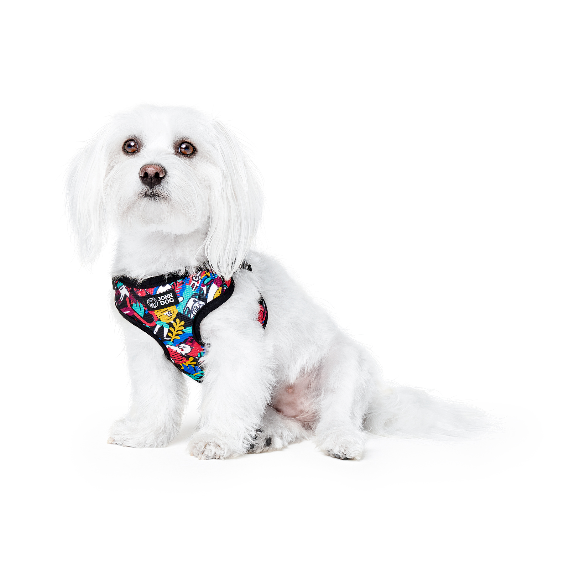 

John Dog Barcelona szelki bezuciskowe dla psa L