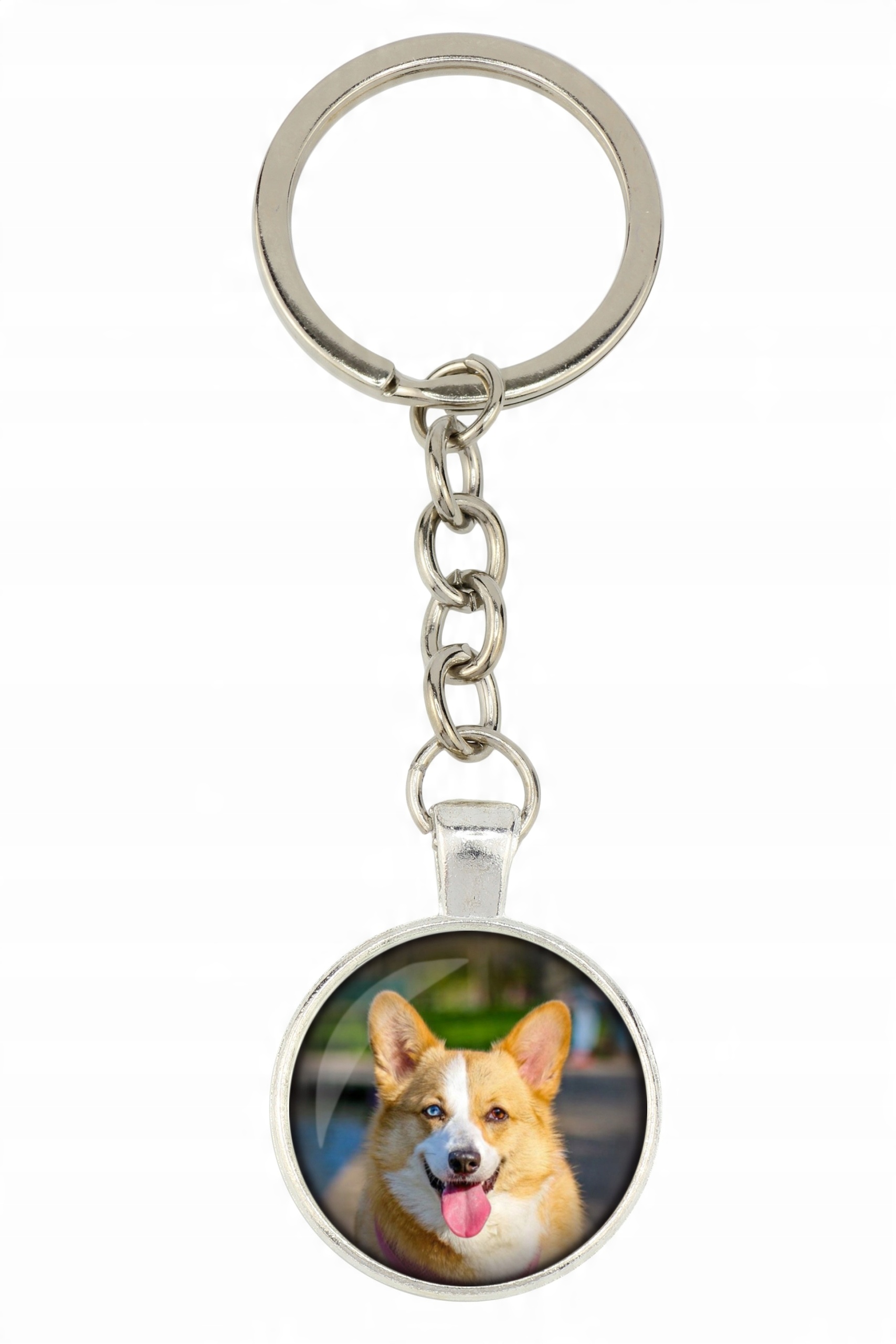

Welsh corgi cardigan Brelok Twoje zdjęcie foto
