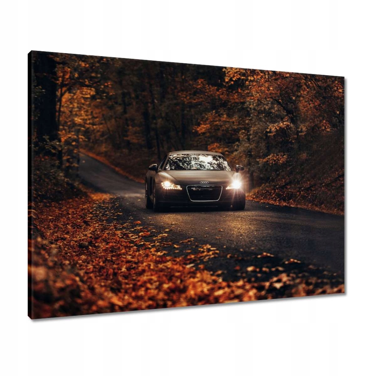 Obrazy 80x60 Audi Podzimní krajina