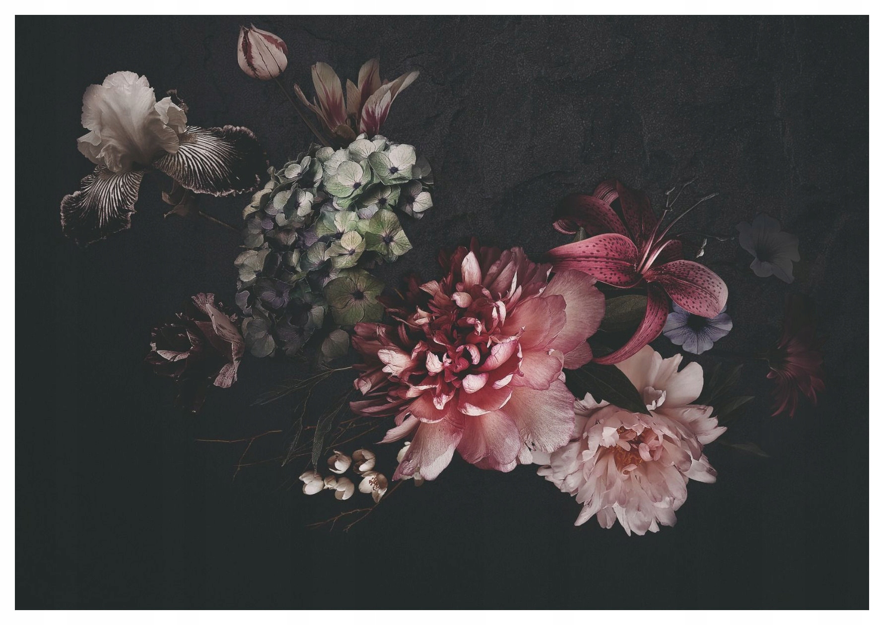 Fototapeta Tmavé kvety ruže pivonky kosatce na čiernom pozadí 368x254 lepidlo