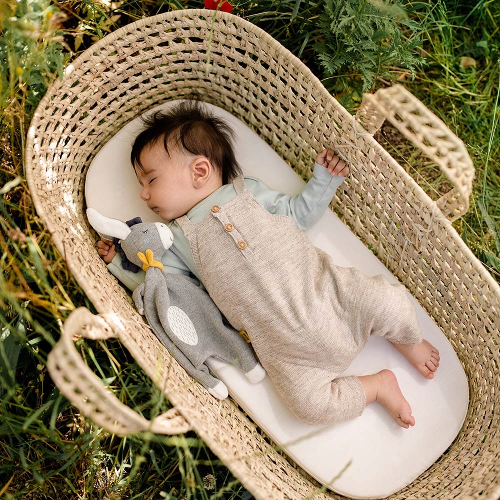 Pierwsza Przytulanka, Osiołek,z kolekcji: Natura 2 Płeć chłopcy dziewczynki