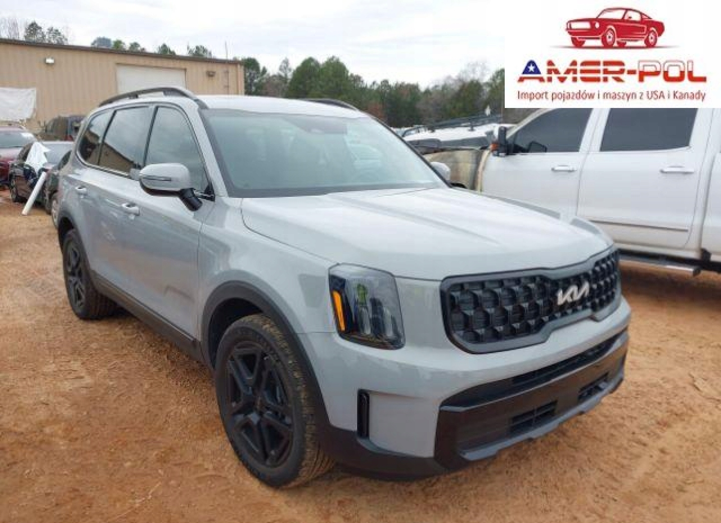 Kia Telluride EX X-Line 2024 3.8 Benzyna 291KM