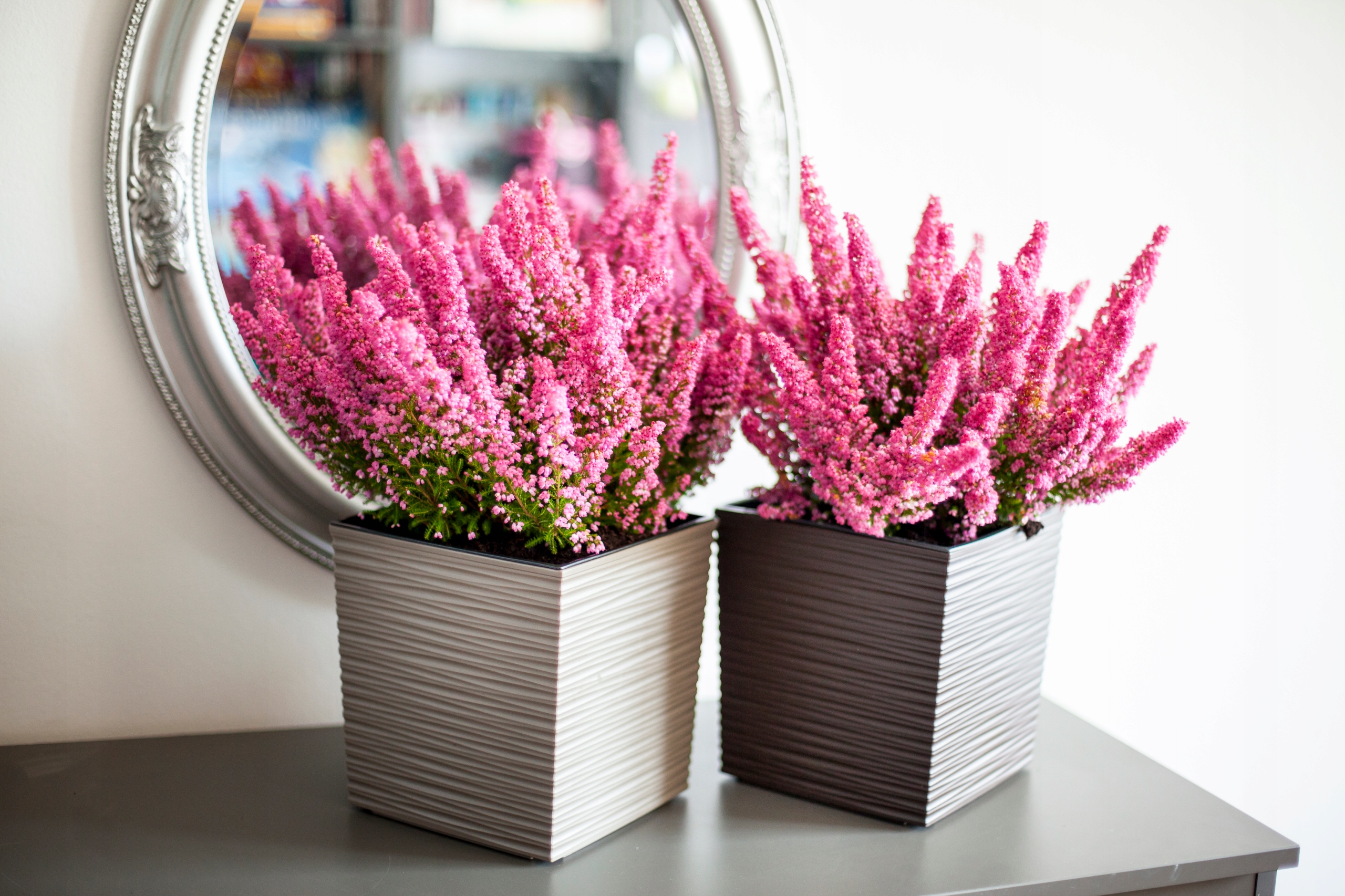 DONICZKA DONICA OSŁONKA Z WKŁADEM KOLORY 30cm Kod producenta K3043