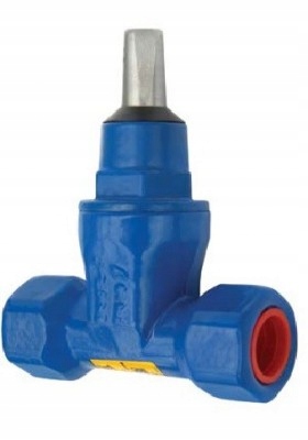 Bohamet Zasuwa gwintowana DN25