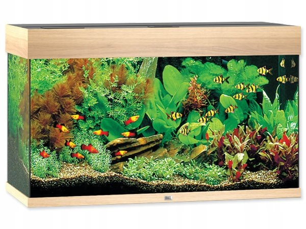 Levně Akvarijní set Juwel Rio Led 125 dub 81x36x50cm 125l