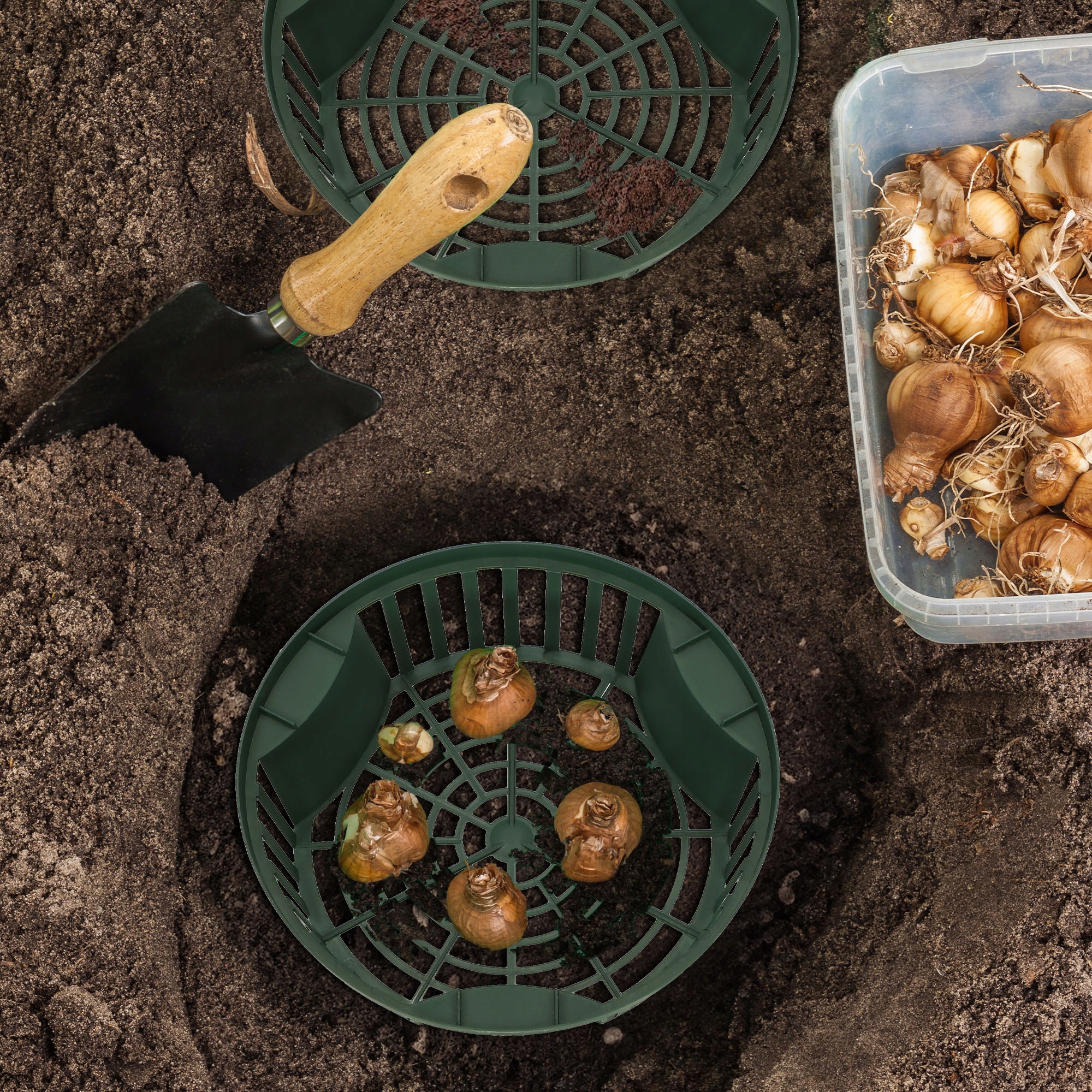 ZESTAW 10x KOSZYK NA CEBULĘ 215 MM OSŁONKA SADZENIA CEBULEK KWIATOWYCH BULW EAN (GTIN) 5904994035190