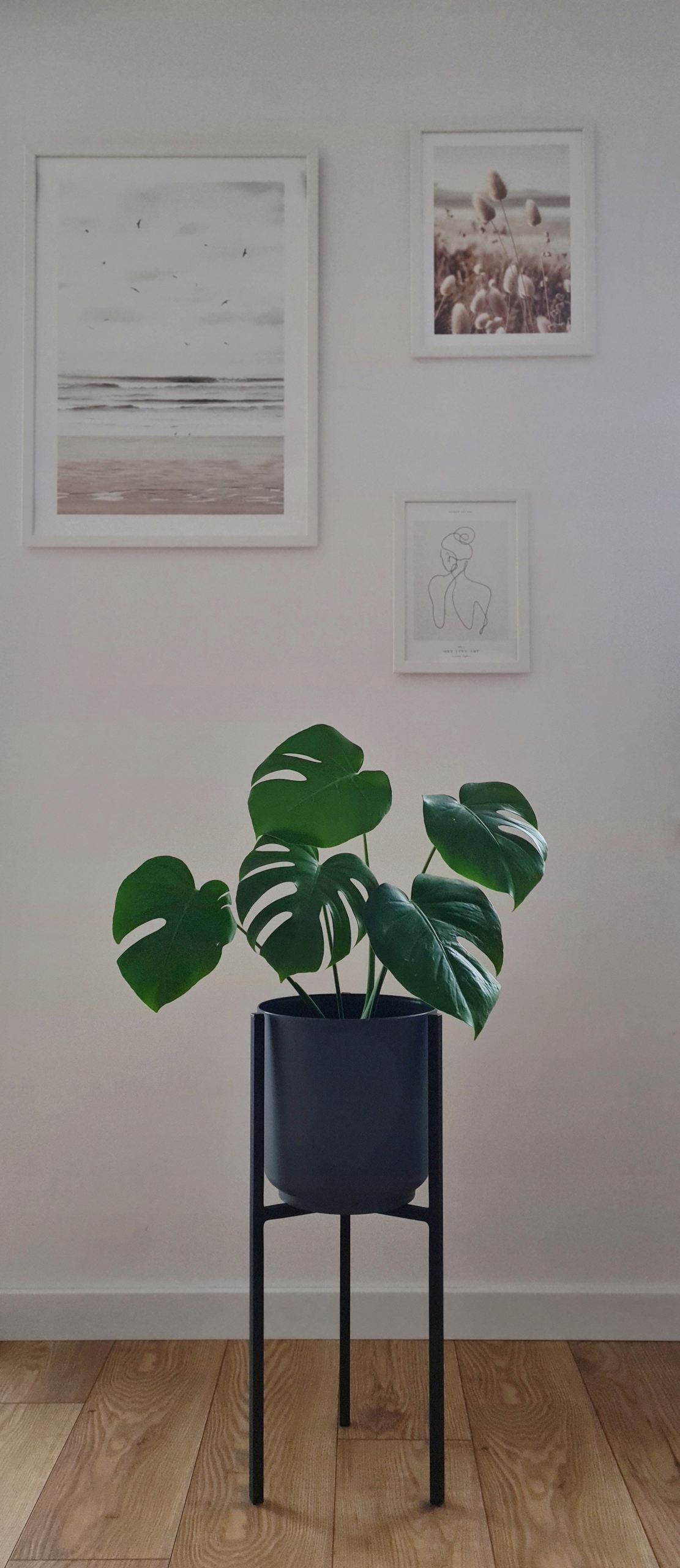 KWIETNIK STOJAK NA ROŚLINY Z OSŁONKĄ DONICĄ NOWOCZESNY WYSOKI 62CM Marka bez marki