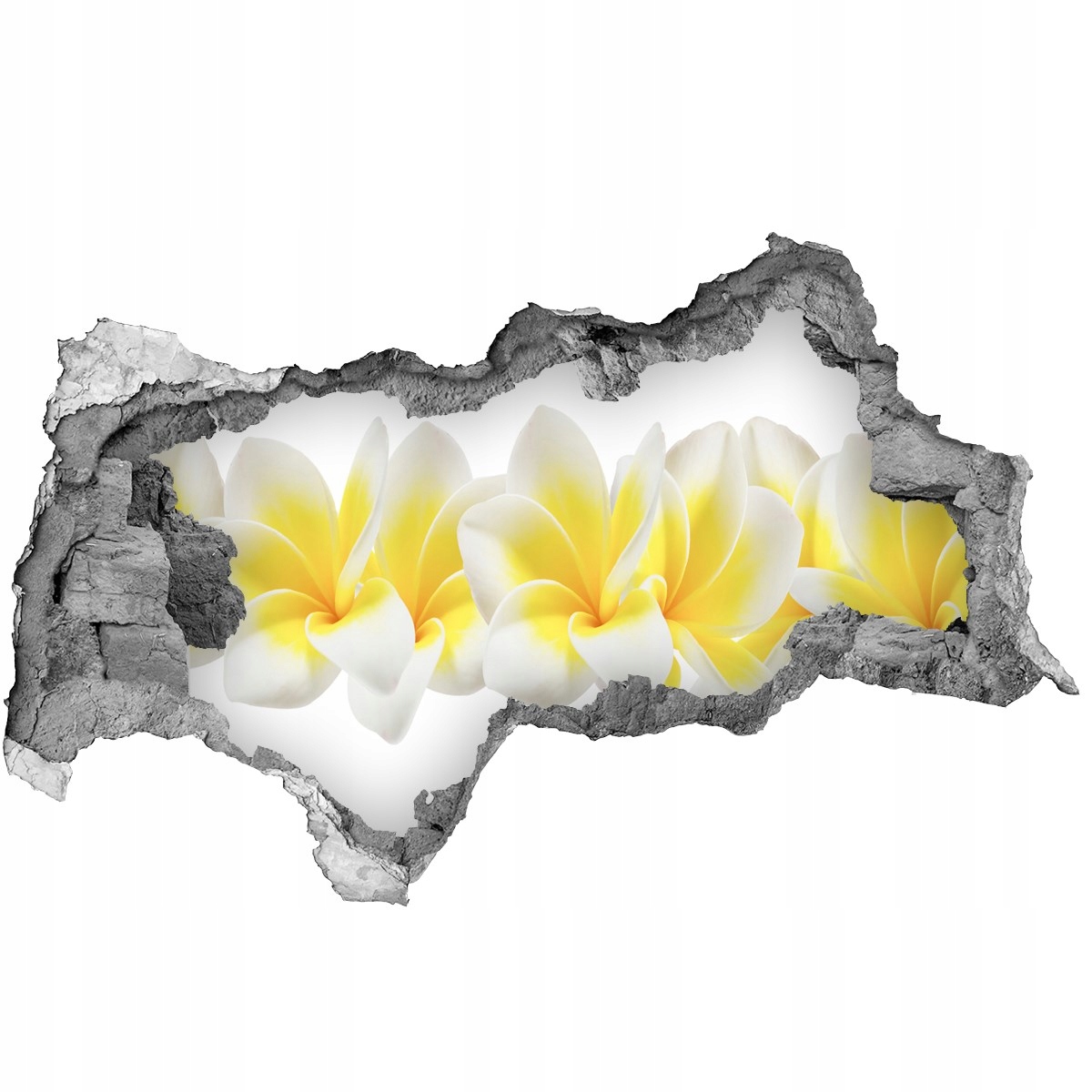 

Samoprzylepna Naklejka fototapeta Plumeria 115x88