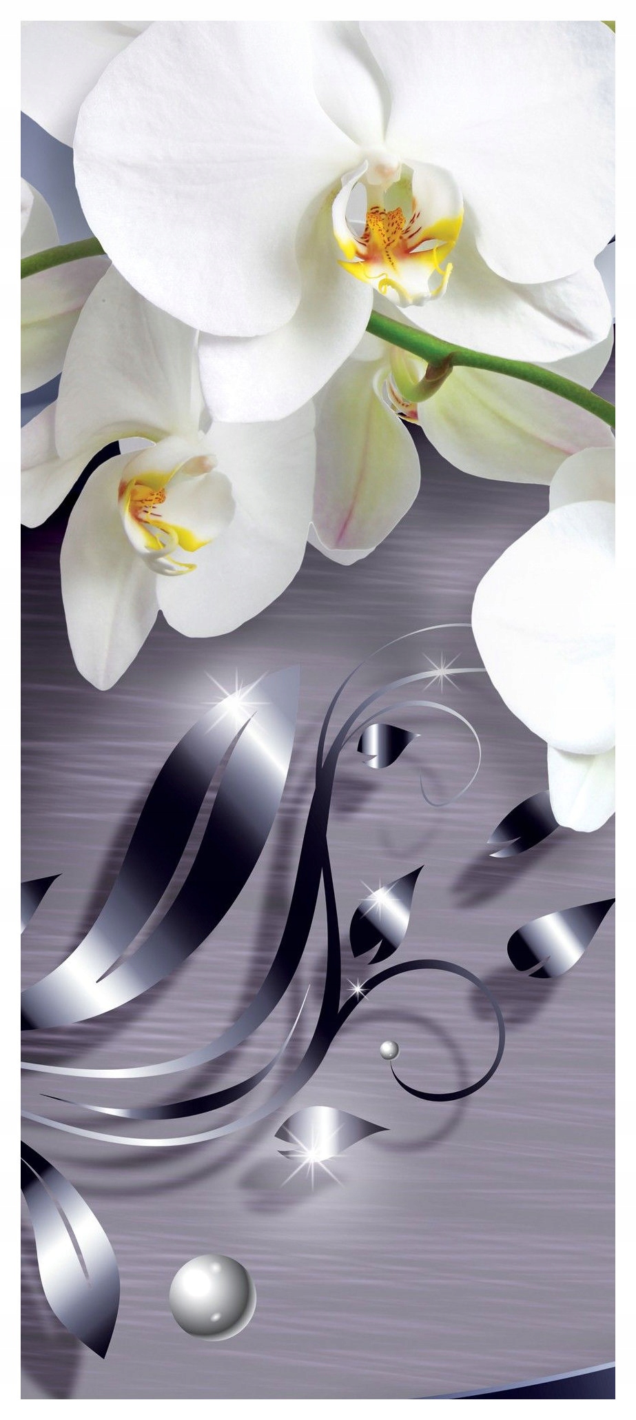 Vliesová fototapeta Bílé orchideje se stříbrem, elegance 91x211 lepidlo