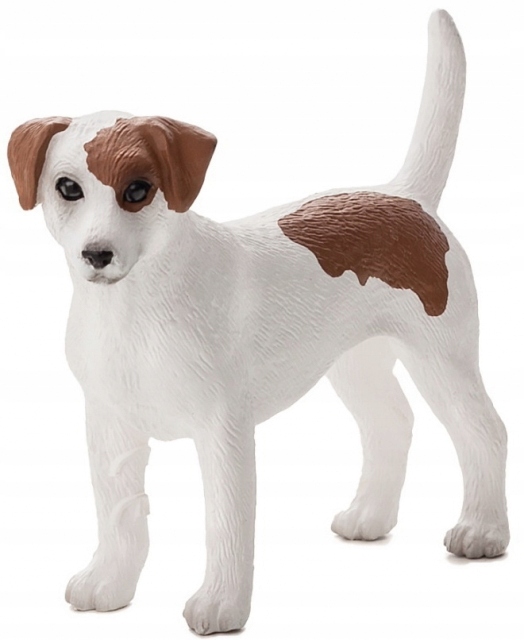 

Pies Jack Russell Terrier Mojo 387286