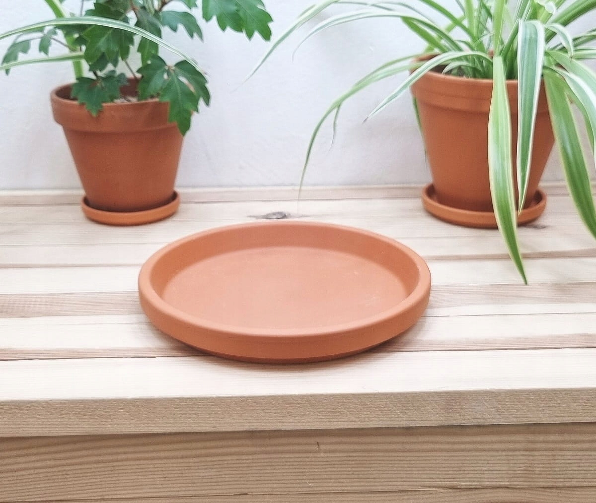 PODSTAWKA GLINIANA do doniczek TERAKOTA 20cm Długość 20 cm