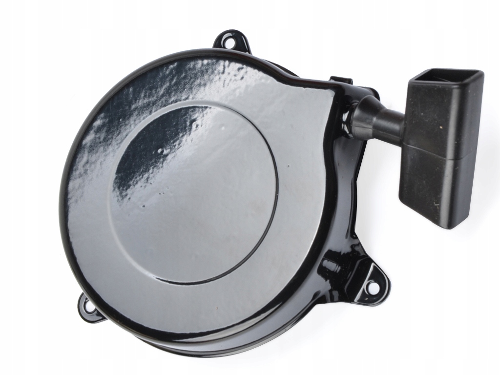 SZARPAK ROZRUSZNIK STARTER BRIGGS CLASSIC SPRINT Typ rozrusznik