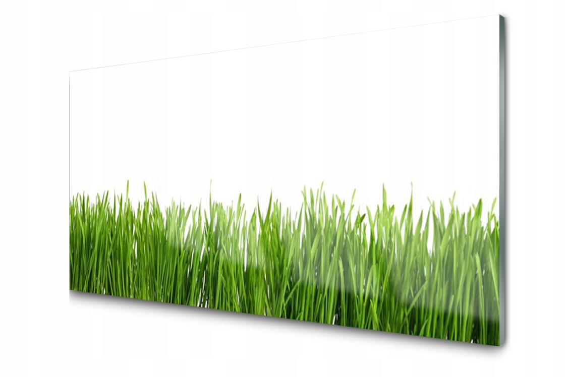 

Panel szklany dekor Trawa Roślina 140x70 + Klej