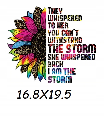 TERMO NAKLEJKA APLIKACJA NAPRASOWANKA H46 Kolekcja MIX