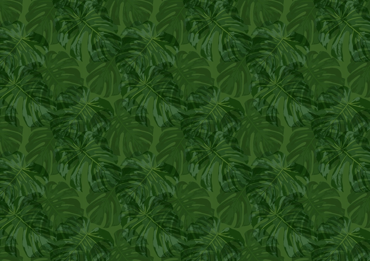

Fototapeta Flizelinowa Tropikalne rośliny 312x219