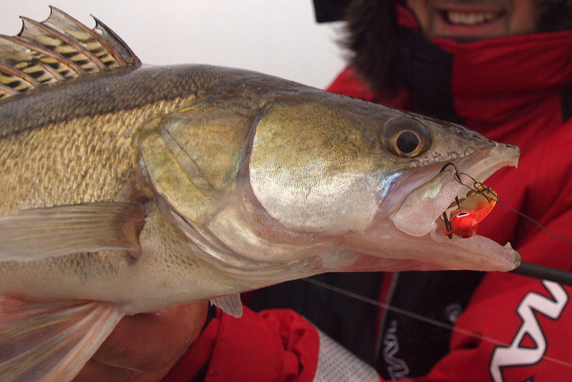 ŁOWNA CYKADA SPINMAD KING 18g - 0609 Kod producenta 0609