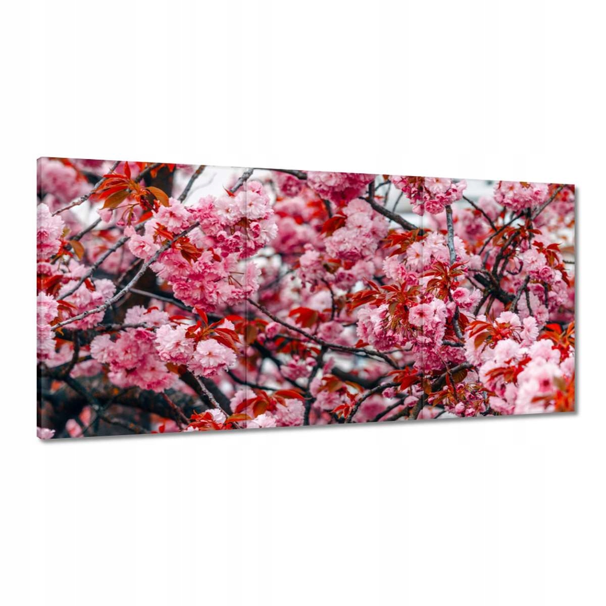 Obrazy 180x90 Jemné kvety Kvety