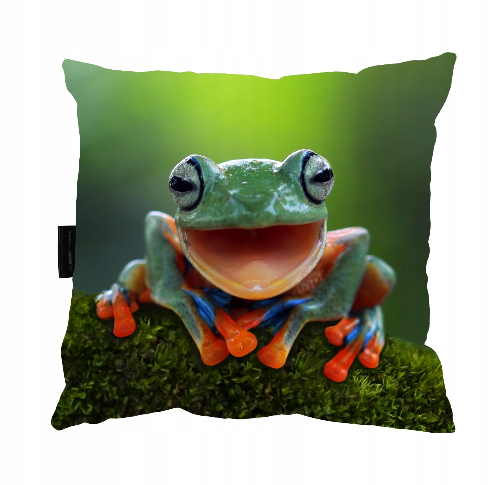 PODUSZKA z ŻABĄ ZABA 40x40 do spania na PREZENT