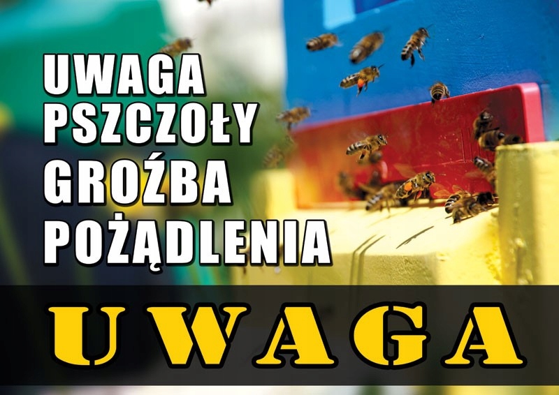 

Średnia tablica ostrzegawcza wzór F213