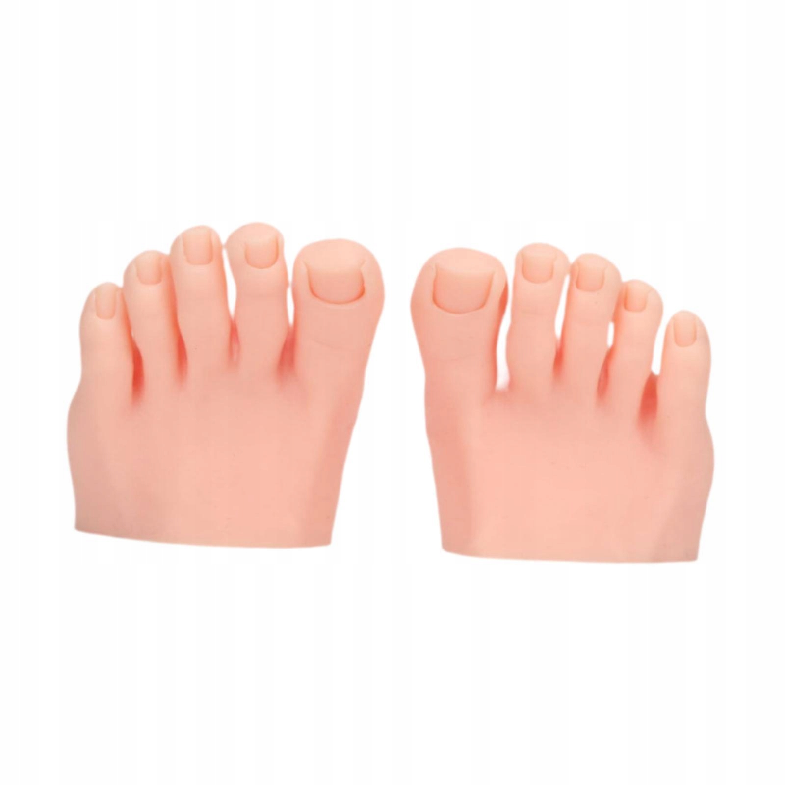 Praxe Falešný model chodidla Profesionální trénink půl nohy Jasný