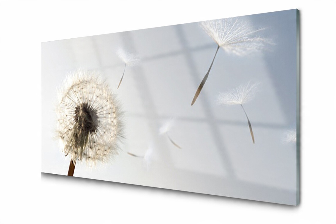

Panel szklany Płytka Dmuchawiec Kwiaty 120x60