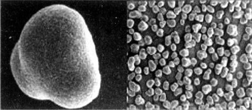 TONER DO LEXMARK C950 DE 22Z0008 X950X1KG BLACK Producent DobreTonery_pl