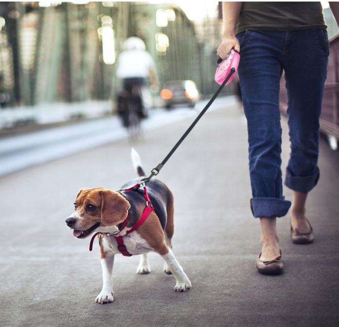 Levně Odolná, pružná vodítko pro psy Idepet pro malé a střední psy