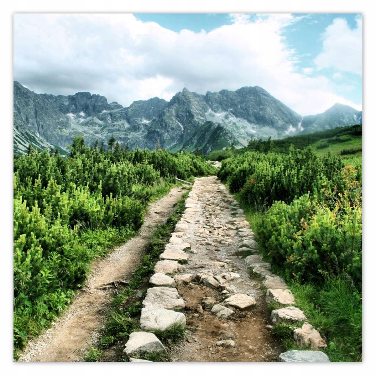 Plakáty 140x140 Kamenná cesta Tatry