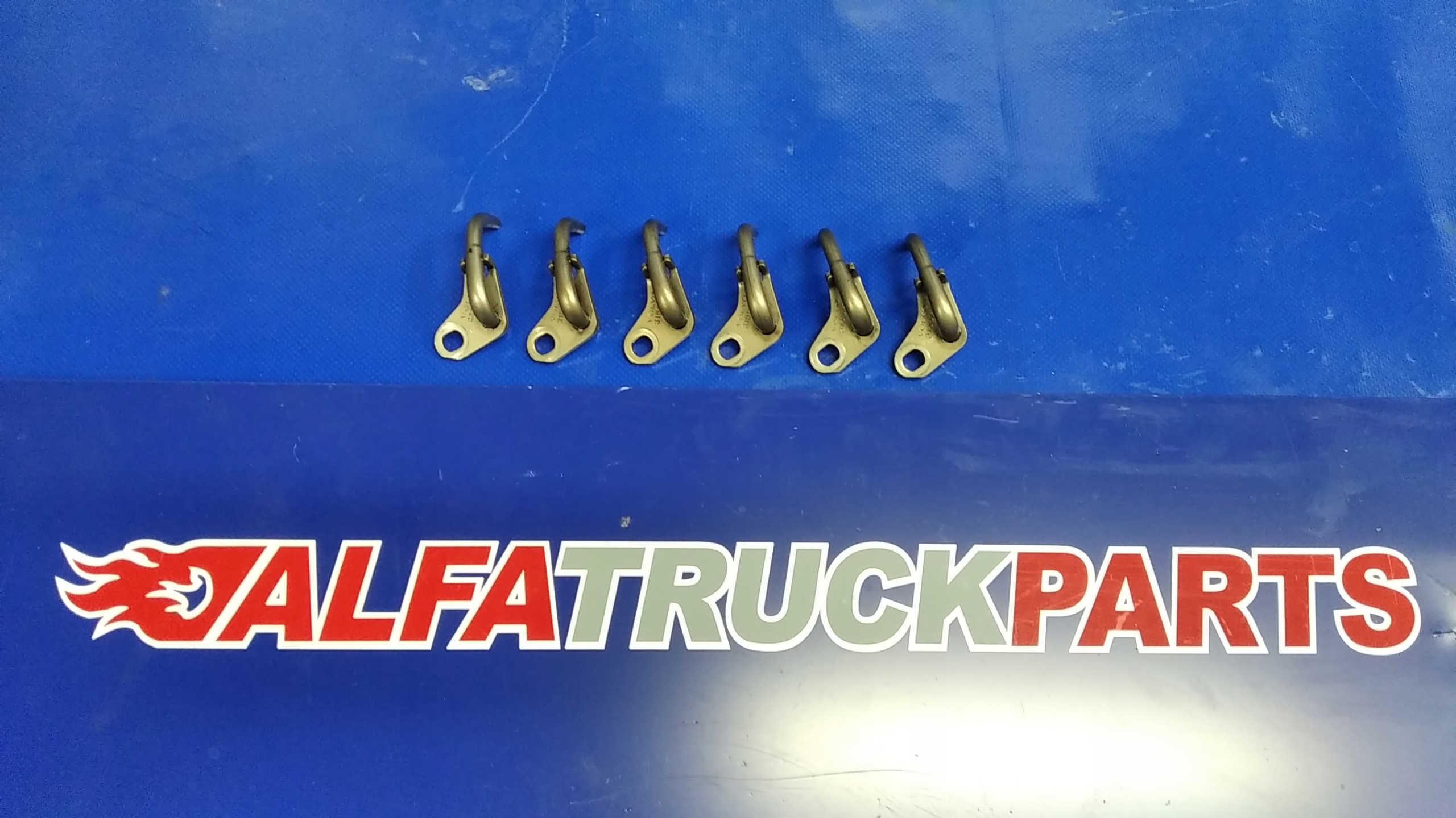 VOLVO FH 4 RENAULT T ROZPYLACZ DYSZA DENKA TLOKA