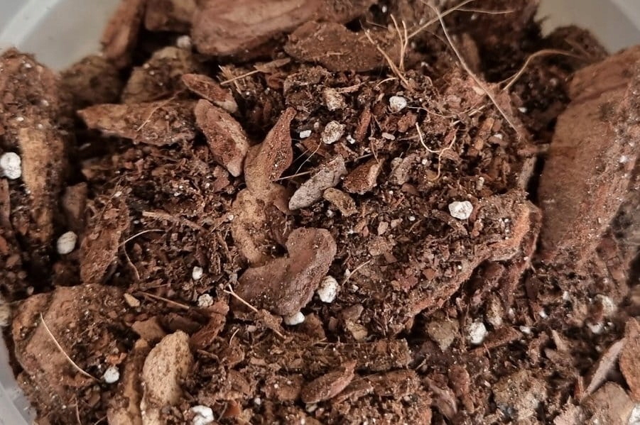 Ziemia do STORCZYKÓW orchidei naturalne podłoże 3L Marka Biovita