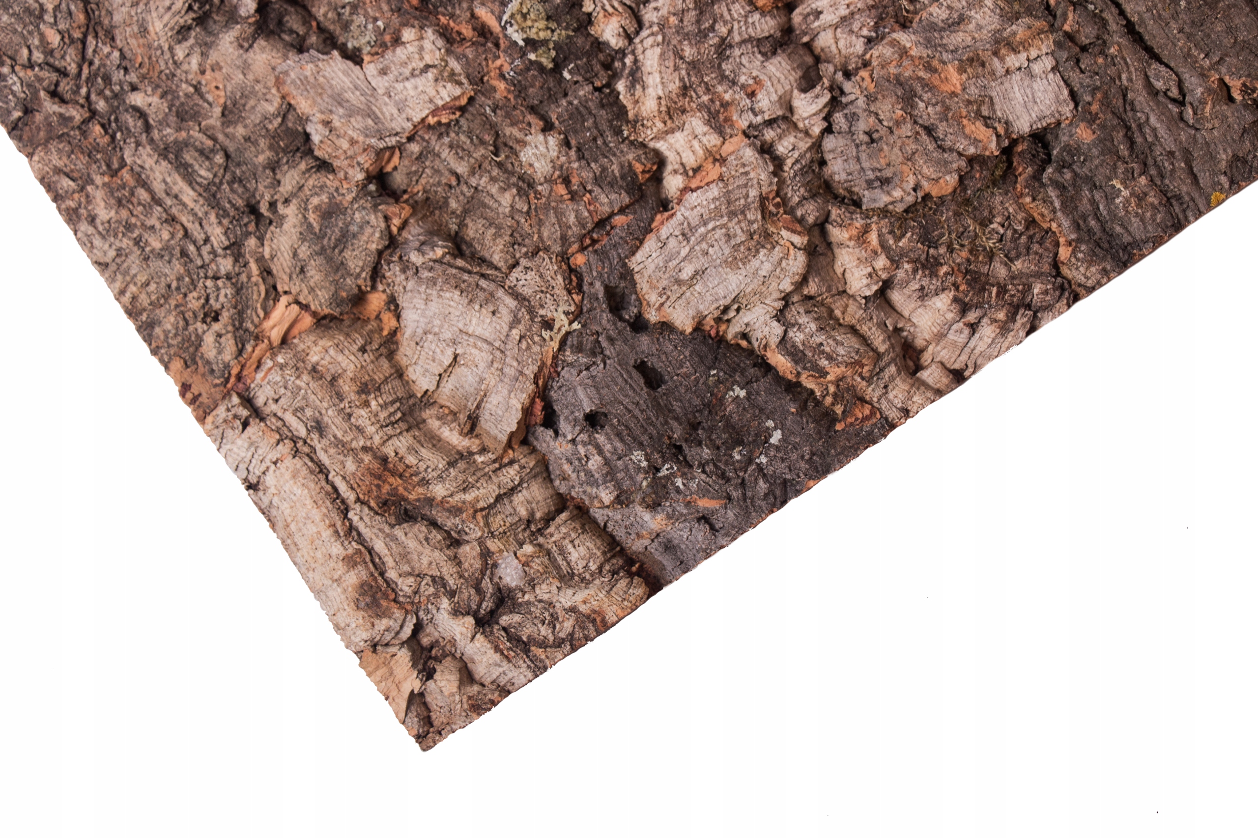 Płyta korkowa ścienna dekoracyjna VIRGIN 600x300mm Typ dekor