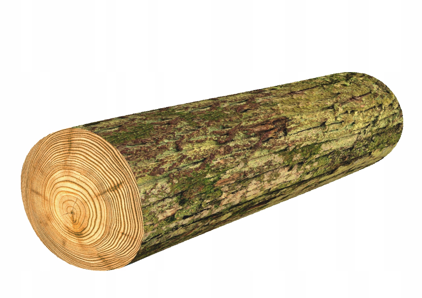 

Wałek Bertoni pianka memory Omszony Ø16x55 cm
