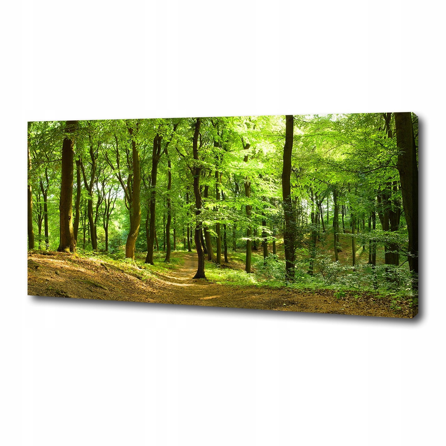 

Foto obraz na płótnie Leśna ścieżka 125x50 cm