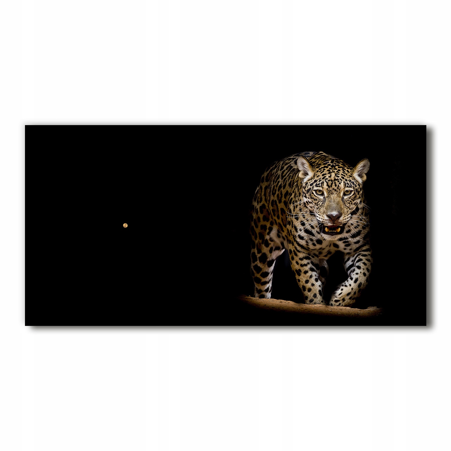 

Nowoczesny zegar ścienny, szklany Jaguar 60x30 cm