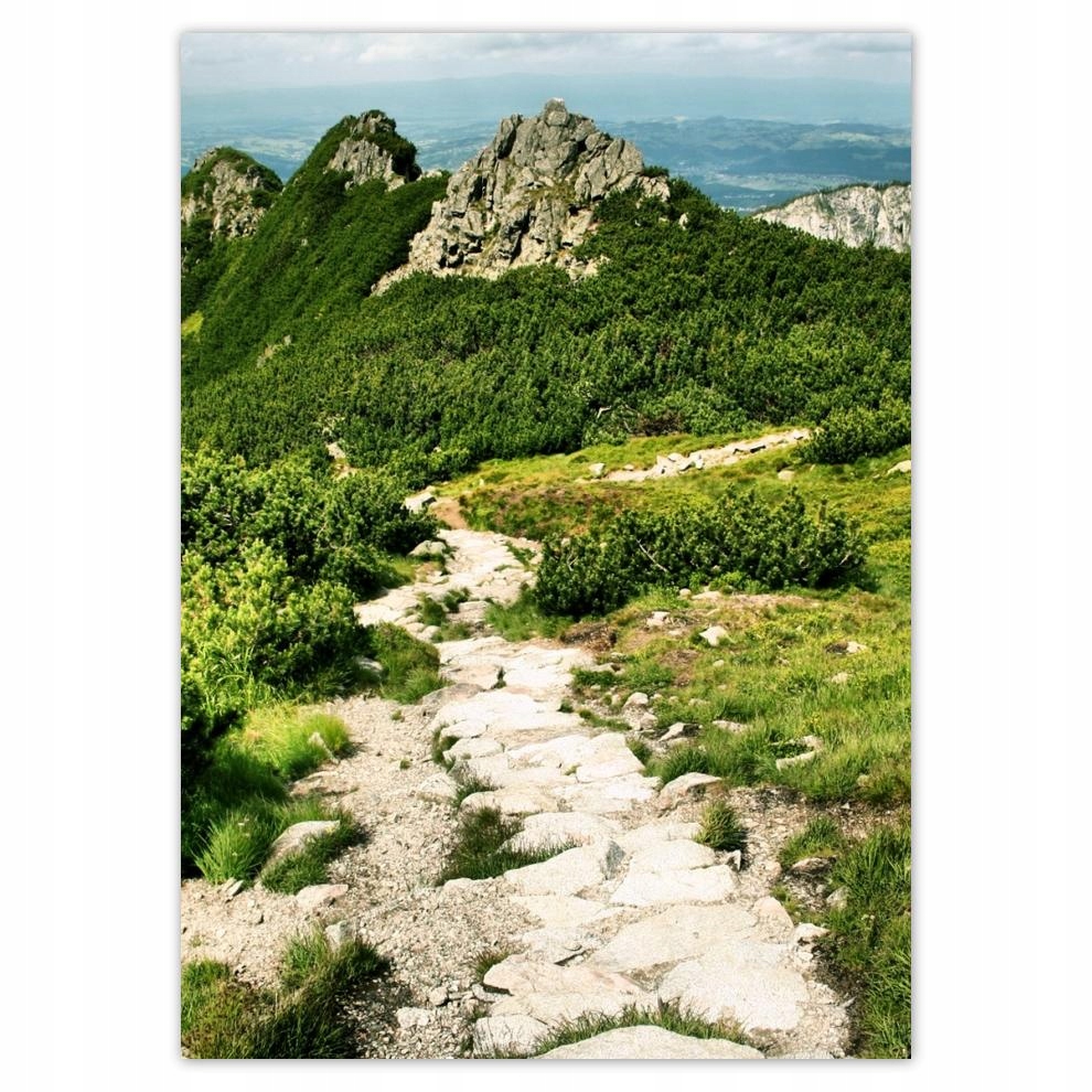 

Naklejki 50x70 Tatry Polskie góry Widok