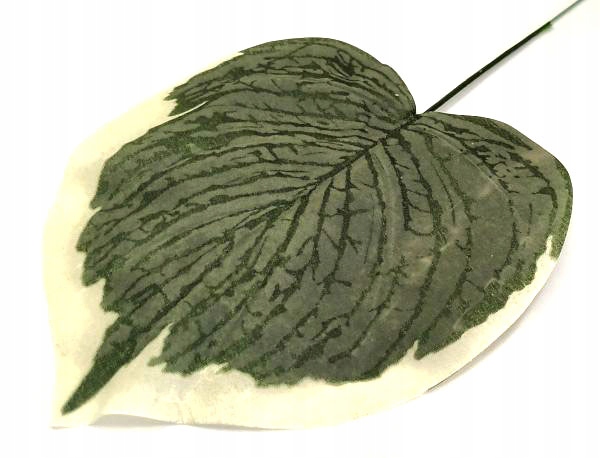 Liść MELON green/white MICRO TOUCH