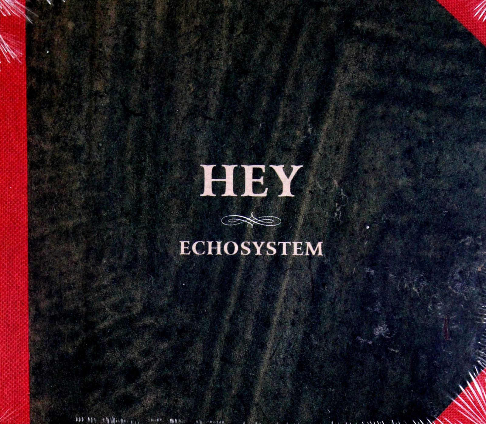 

Hey: Echosystem (wersja Stand) (CD)