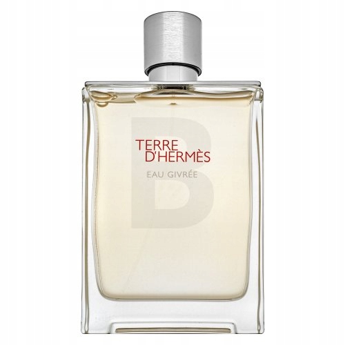 Hermès Terre d'Hermès Eau Givrée Refillable parfémovaná voda pro muže 175