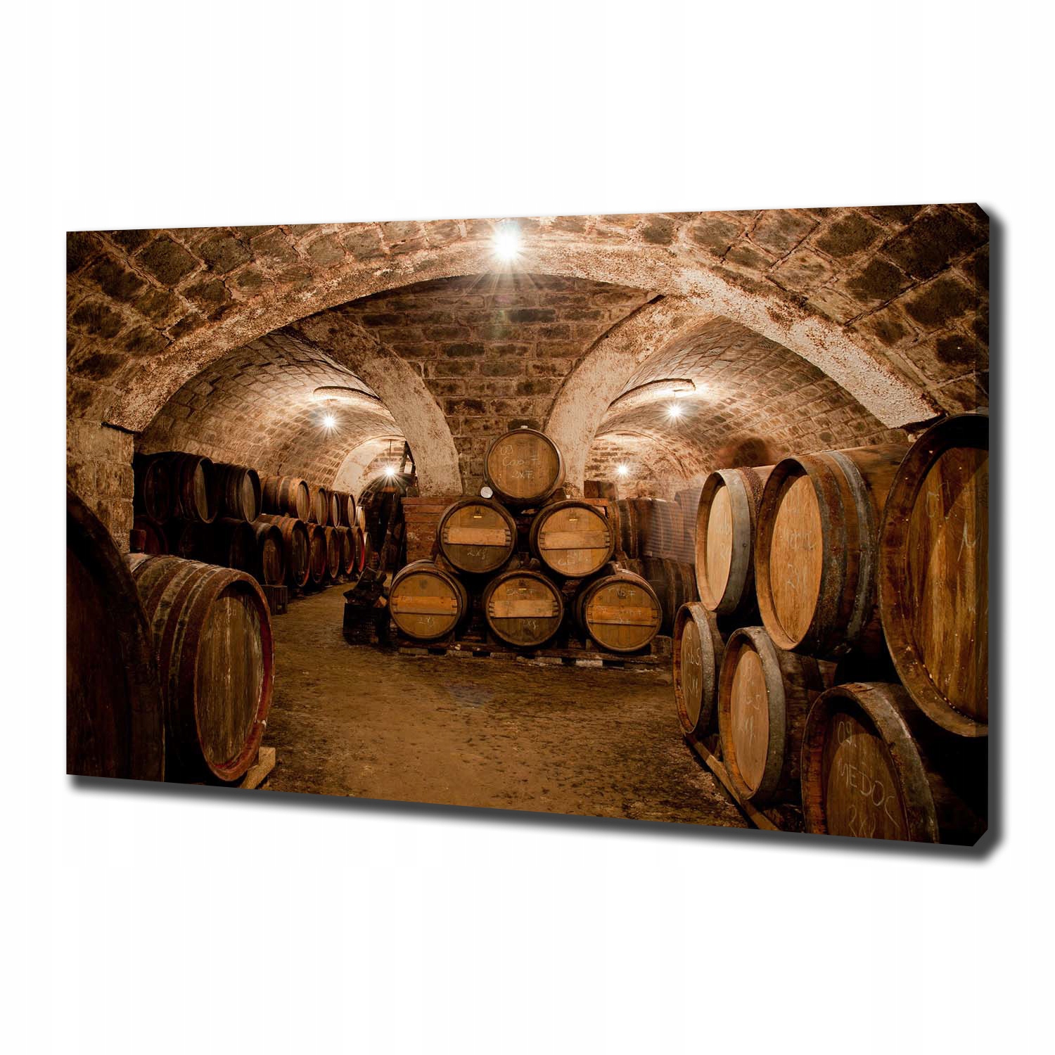 

Foto obraz na płótnie Beczki w winnicy 100x70 cm