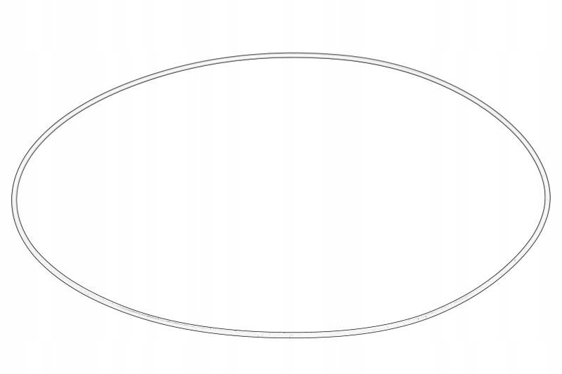 Oring tulei OE DAF DAF2117828