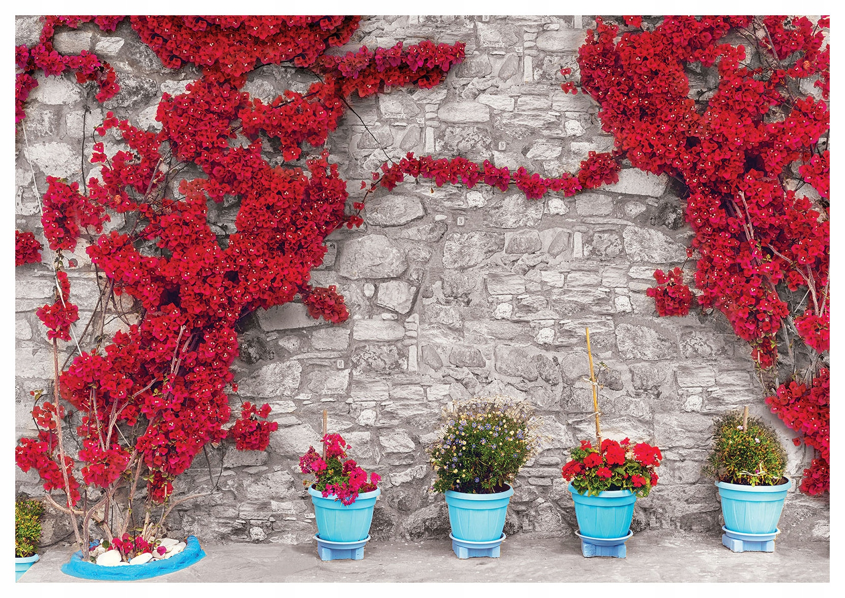 Fototapeta Bugenwilla kameň kvety vinylová 254x184 lepidlo