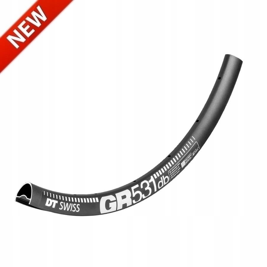 Obruč Dt Swiss Gr 531 db 29"