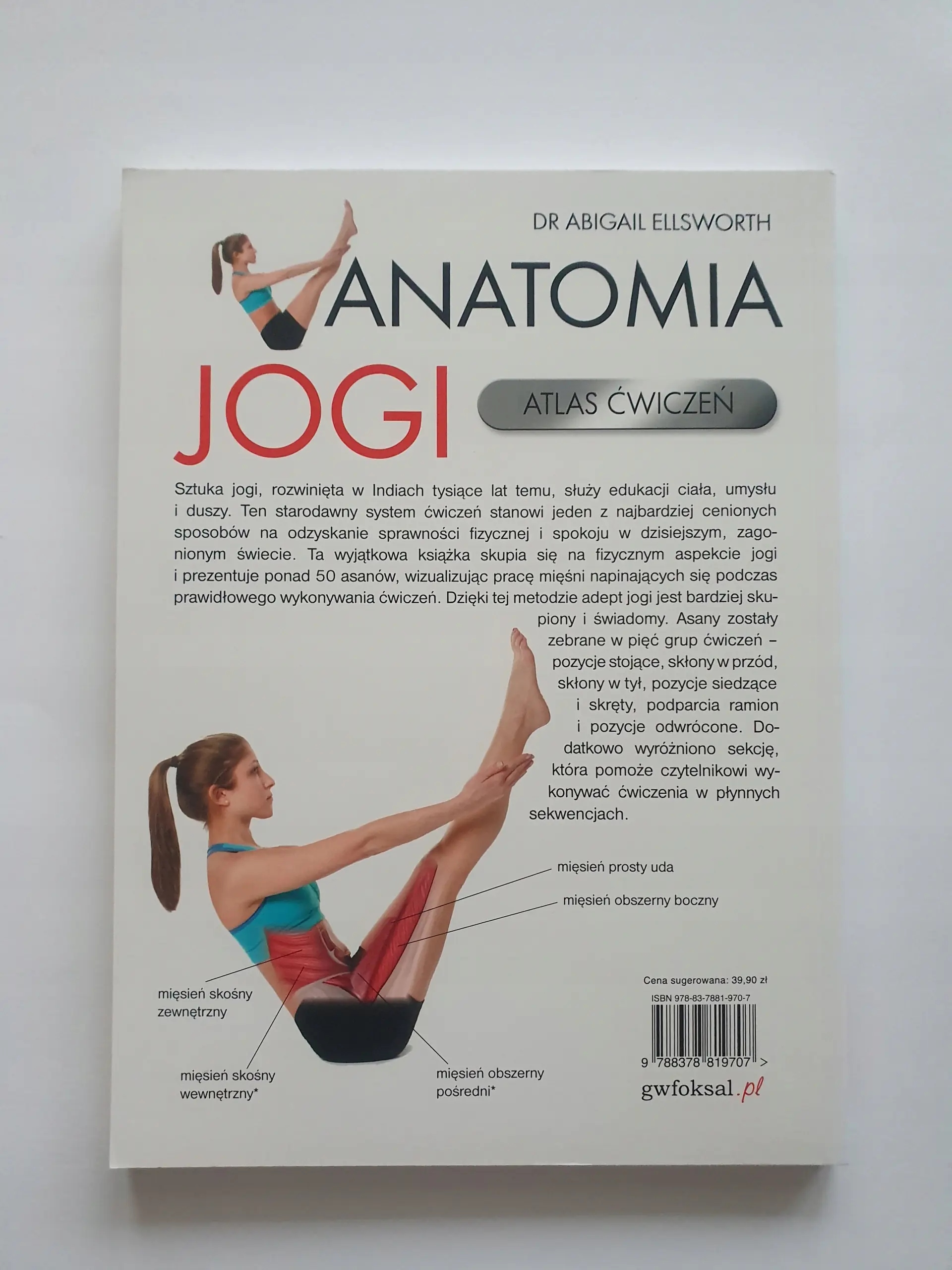 Anatomia jogi Abigail Ellsworth