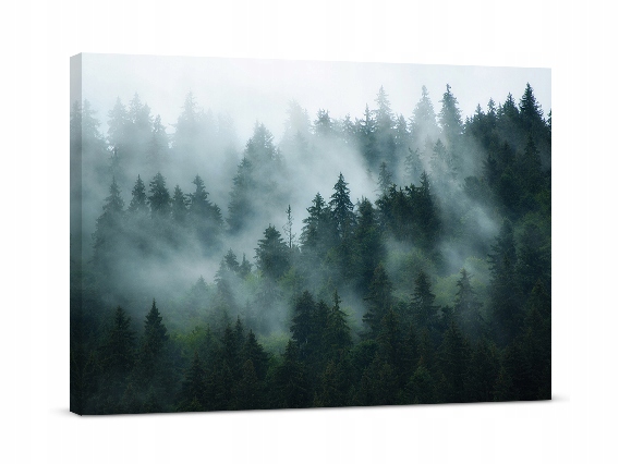 

Fotoobraz Mglisty Las 100x70 cm