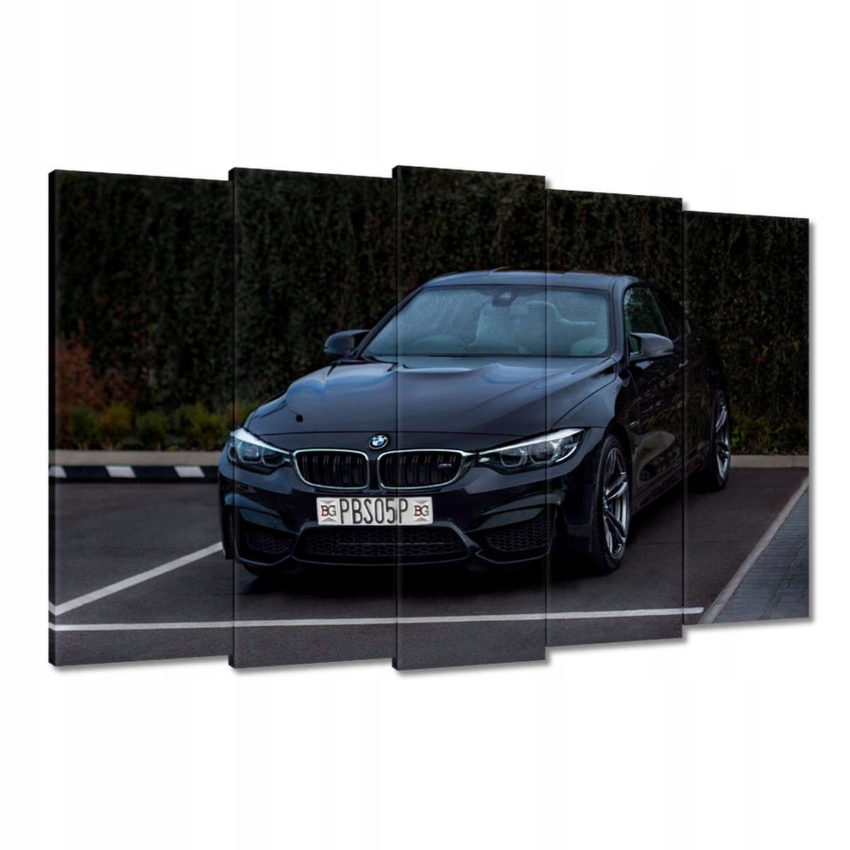 Obrazy 150x95 Auto Bmw