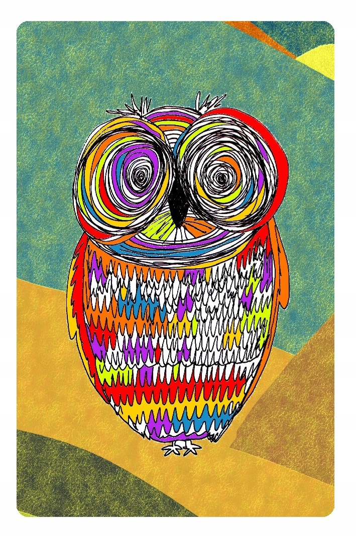 

Magnes na lodówkę kolorowe sowy sowa sówki owl