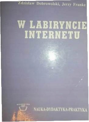W labiryncie internetu - Zdzisław Dobrowolski